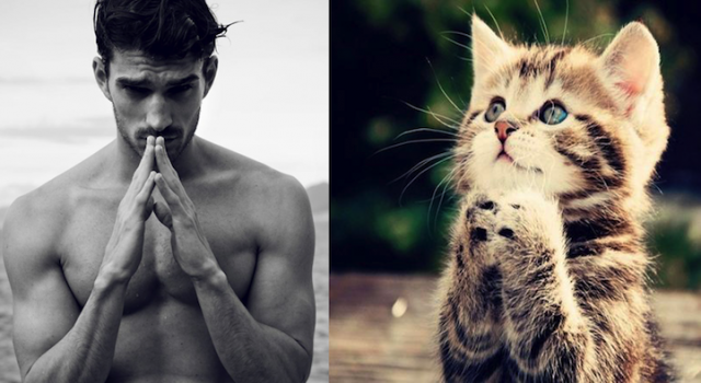 Hot &amp; Lucu ...... Cowok &amp; Kucing