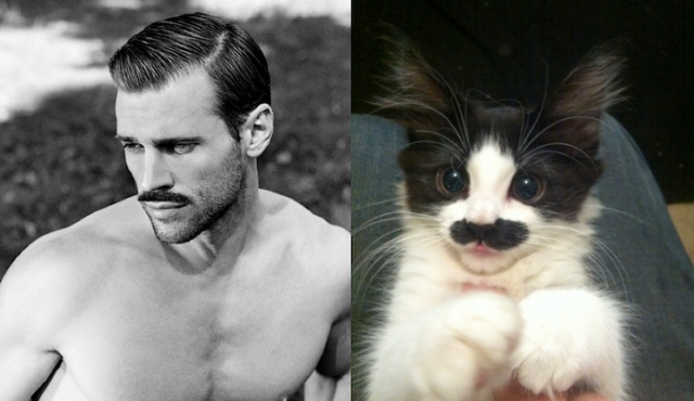 Hot &amp; Lucu ...... Cowok &amp; Kucing