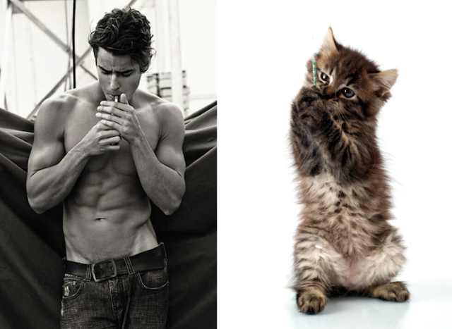 Hot &amp; Lucu ...... Cowok &amp; Kucing