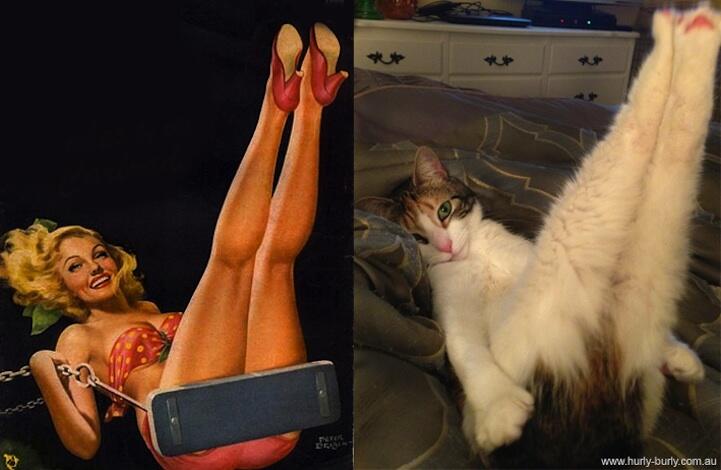 Foto Pose-pose Kucing bergaya ala Wanita Seksi