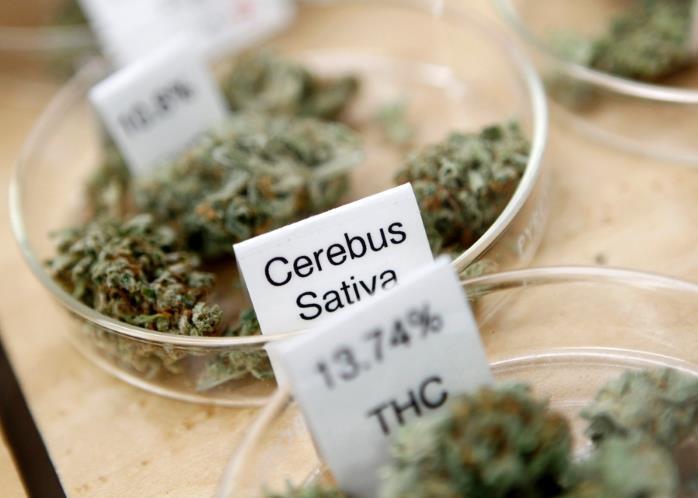 Permasalahan Tentang Ganja atau Mariyuana di Amerika