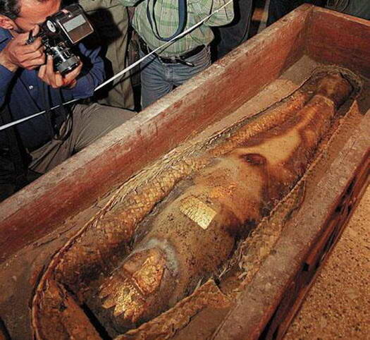 10 Mayat dari Mahluk Paling Misterius