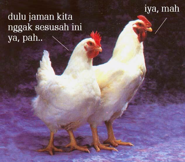 Bahaya tidur pagi !!!