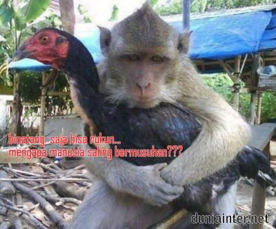 Foto-Foto Lucu dan Unik Terbaru