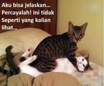 foto pemerkosanaan di jamin ngakak