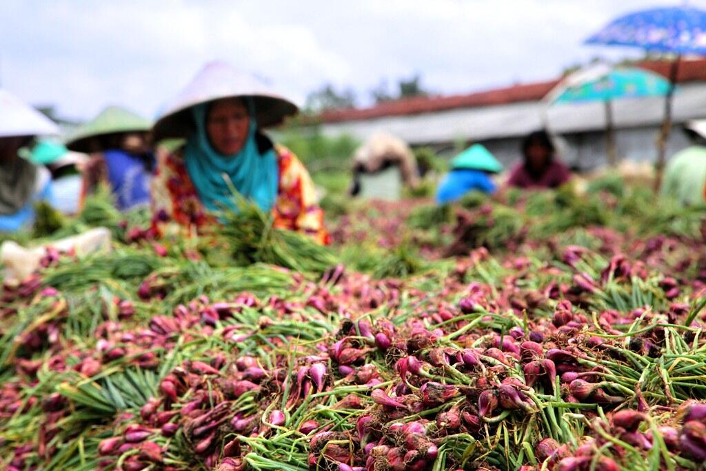 Cara Cepat dan Asik Mengatasi Flu