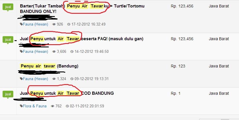 STOP Jual Beli Penyu dengan embel2 &quot;AIR TAWAR&quot;