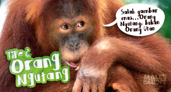 Tipe Orang Ngutang (bukan kutang)