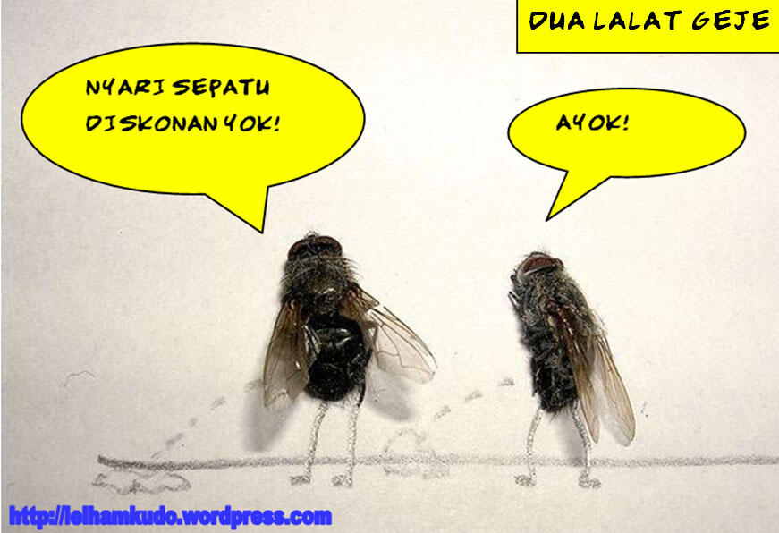 Ketika lalat ekspresikan diri...