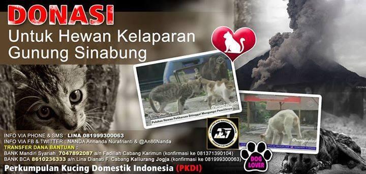Ayo Bantu Selamatkan Nyawa! Siapapun Bisa! &#91;Yg Gak Masuk Pasti Penasaran Tngkt Dewa!&#93;