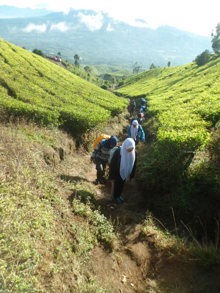 &#91;catper&#93; cikuray yang penuh tantangan 29/11/13 - 01/12/13