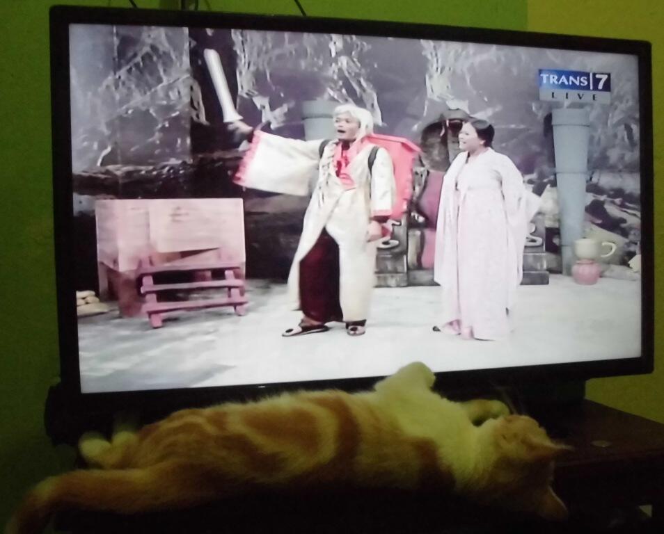 led tv samsung 32inch plus braket