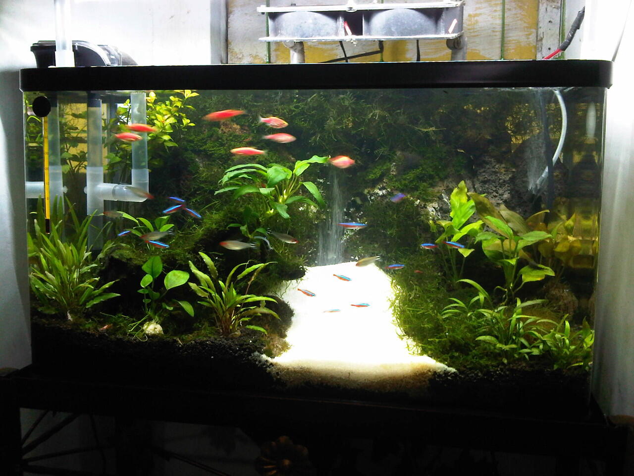 Tile Aquascape