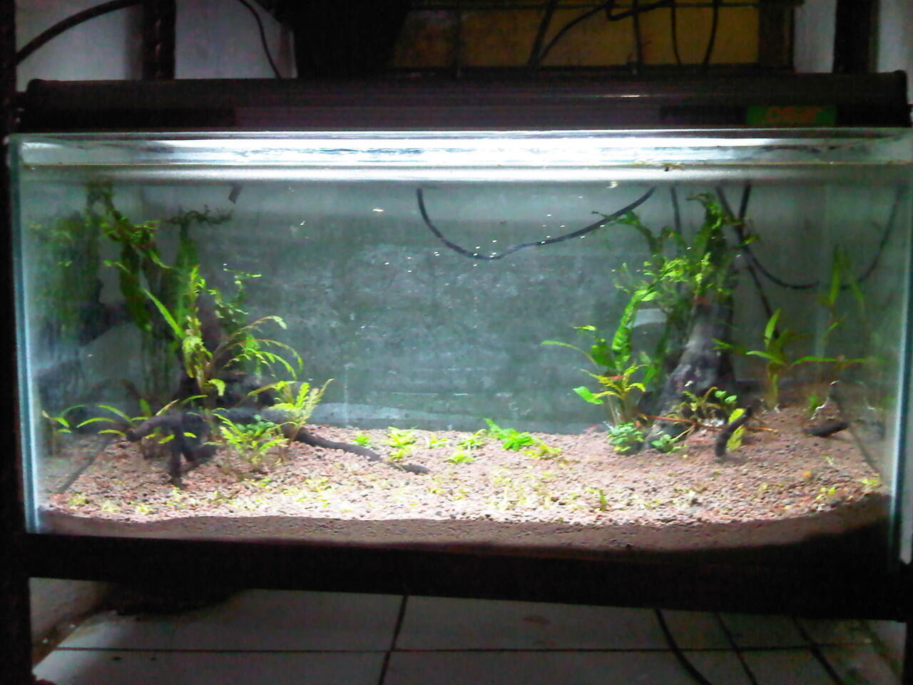 Tile Aquascape