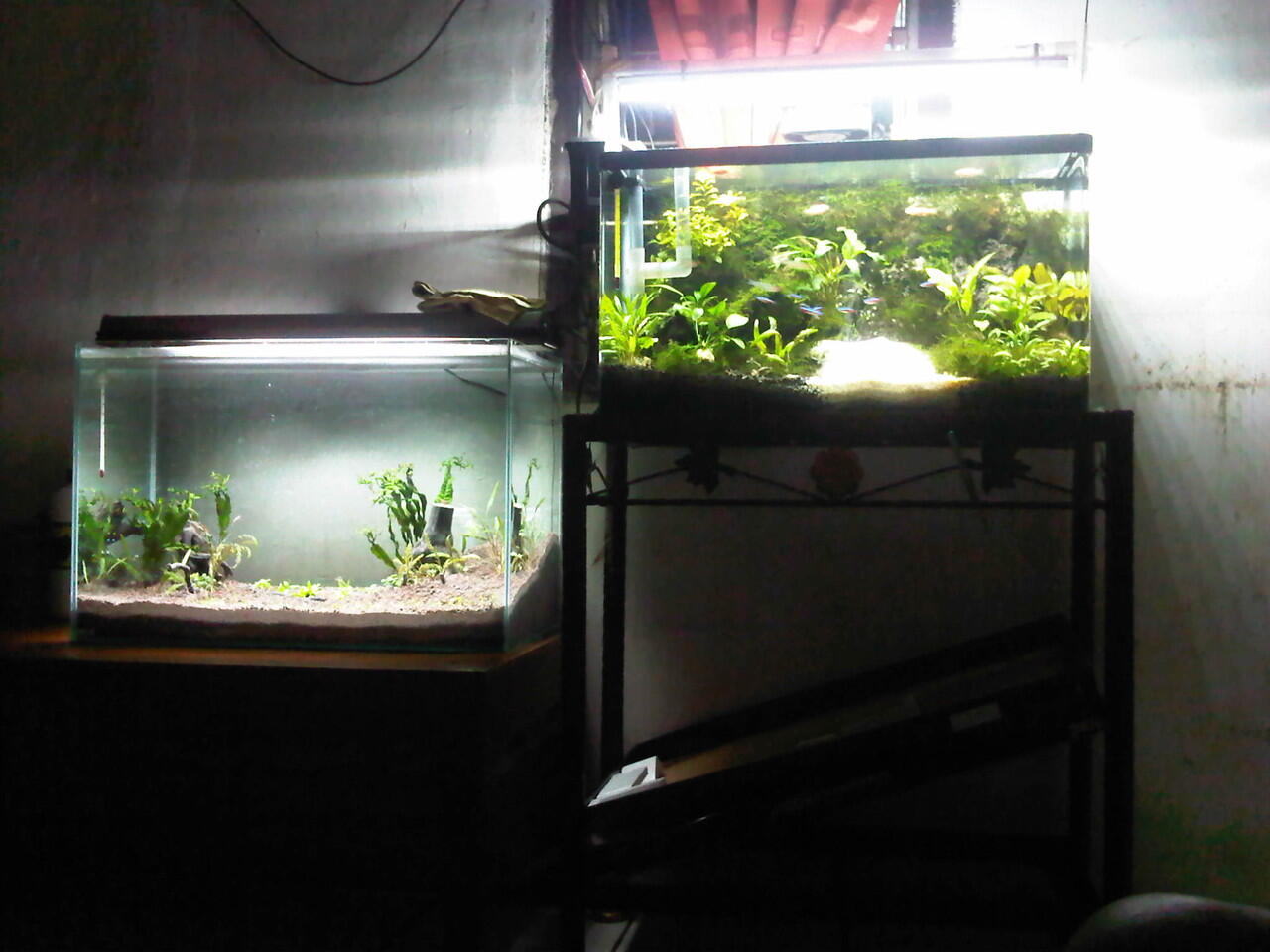 Tile Aquascape