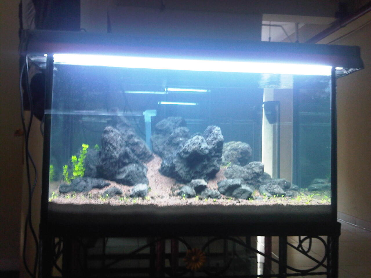 Tile Aquascape