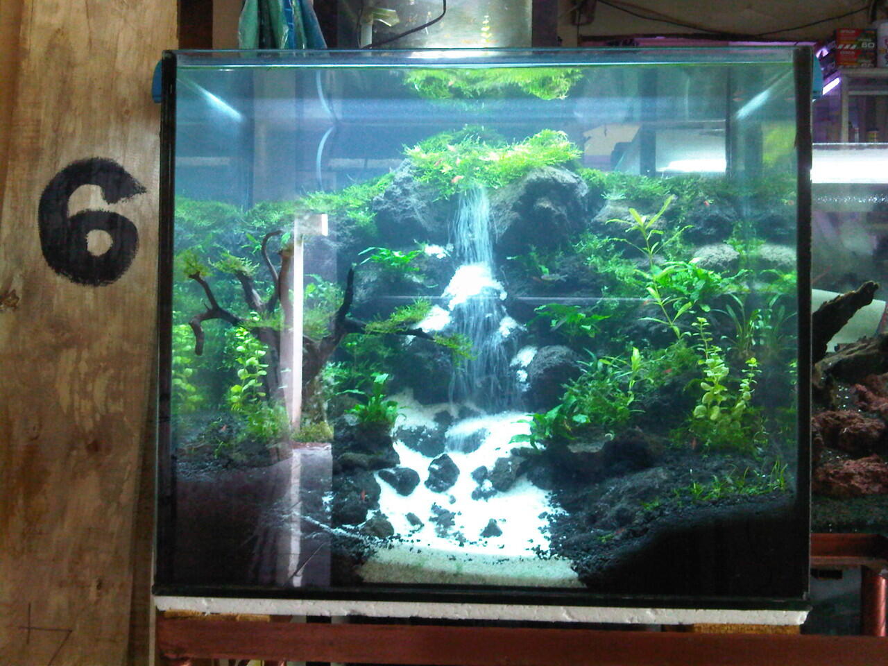 Tile Aquascape