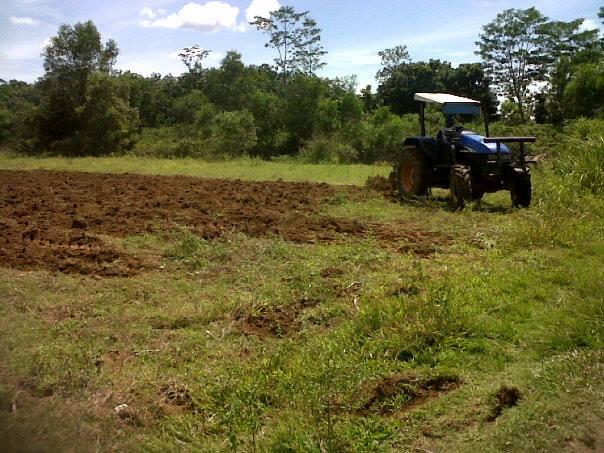 Kami menyediakan sewa jasa traktor pertanian