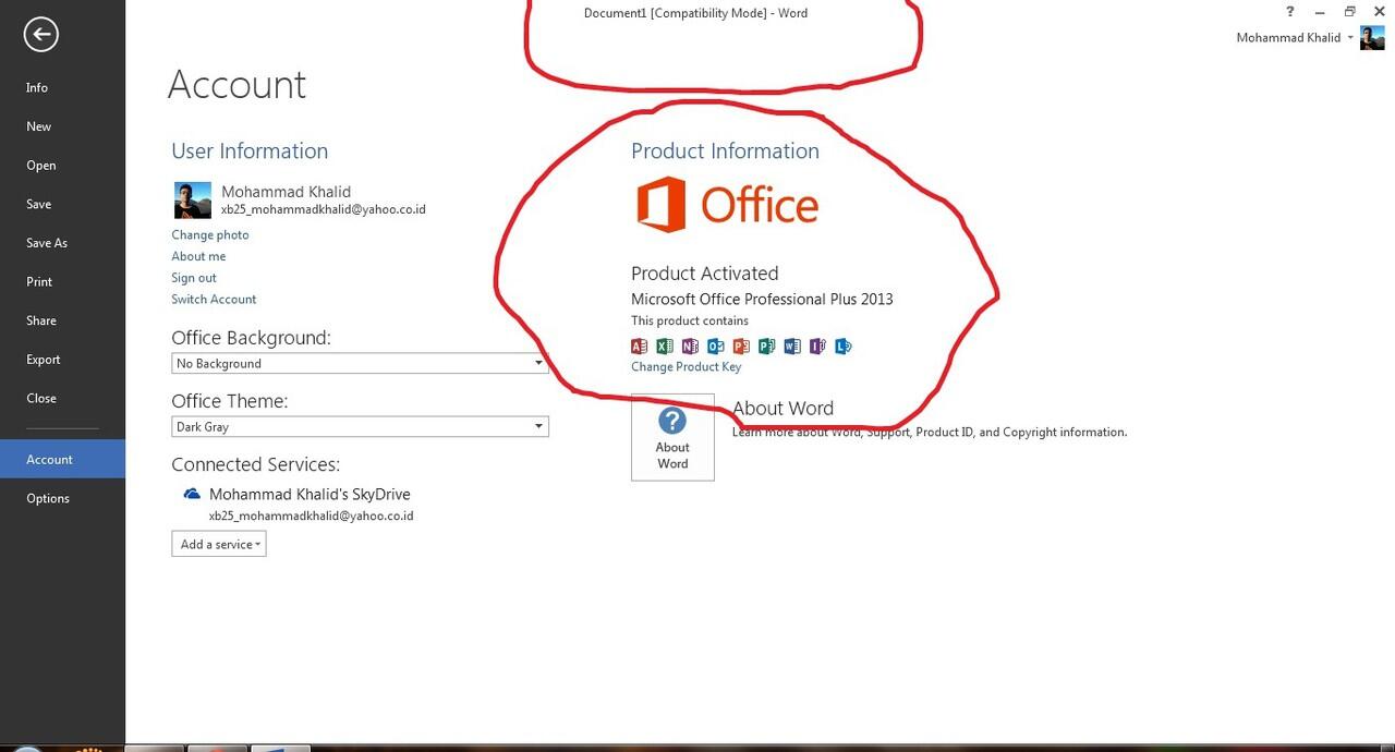 Microsoft Office 2013 aneh