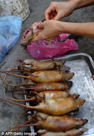 TRADISI BERBURU TIKUS DAN MENYANTAP BERSAMA KELUARGA DI Dan Phuong 