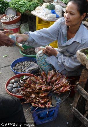 TRADISI BERBURU TIKUS DAN MENYANTAP BERSAMA KELUARGA DI Dan Phuong 