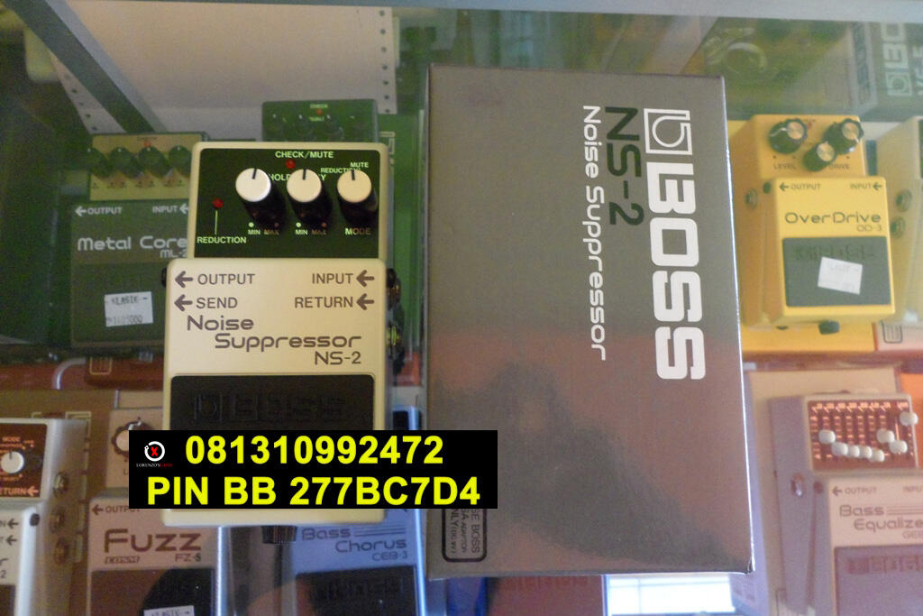 Noise Suppressor NS-2