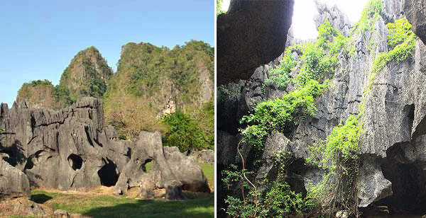 Maros Pangkep, Hutan Kars ke 2 di Dunia