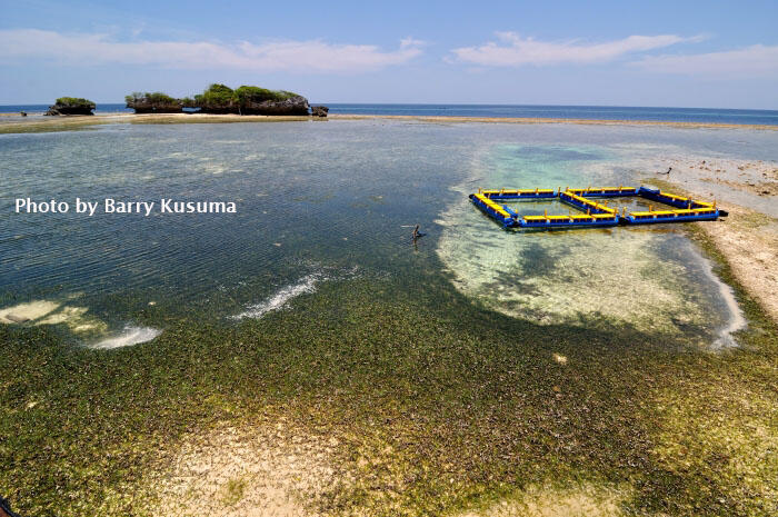 Wakatobi National Marine Park, The Underwater Nirwana.