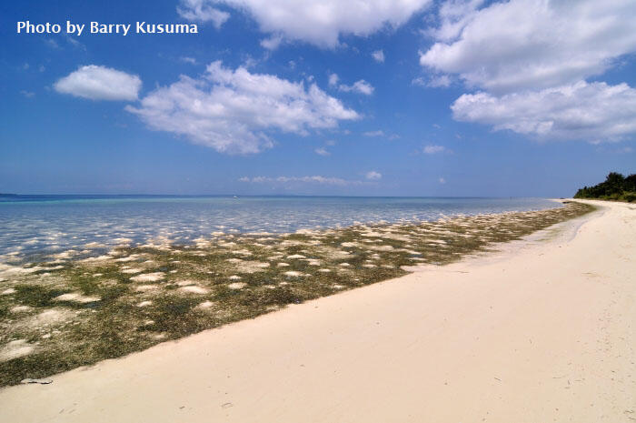 Wakatobi National Marine Park, The Underwater Nirwana.