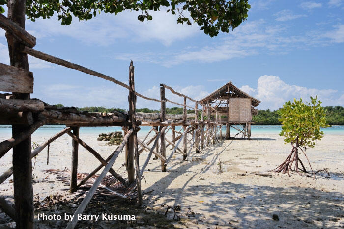 Wakatobi National Marine Park, The Underwater Nirwana.