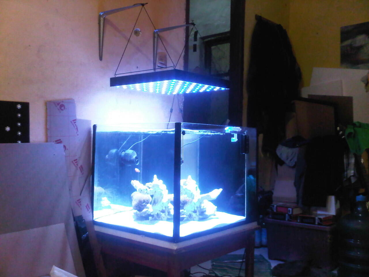 Terjual Lampu LED akuarium laut aquascape custom bandung 