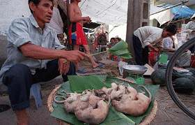 Makanan terunik,teraneh,terlucu, dan paling mengerikan di dunia