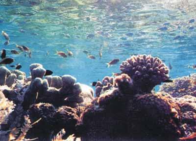 Tempat Wisata Di Indonesia Paling Populer ( Dari Sabang sampai Merauke )