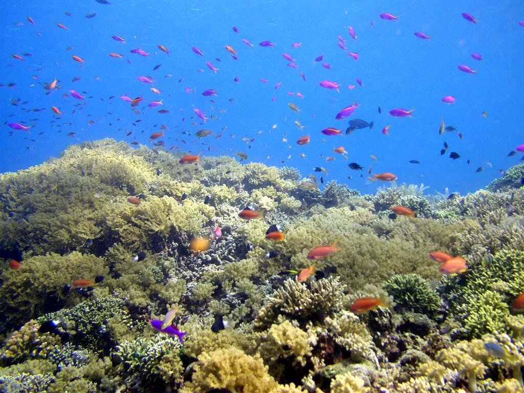 Tempat Wisata Di Indonesia Paling Populer ( Dari Sabang sampai Merauke )