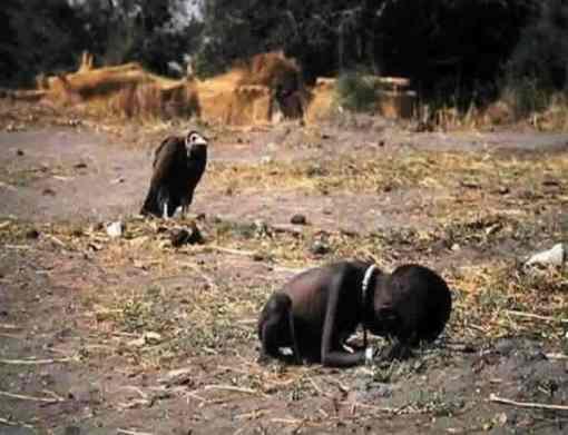 Wanting A Meal: Foto Dramatis Yang Mengejutkan Dunia