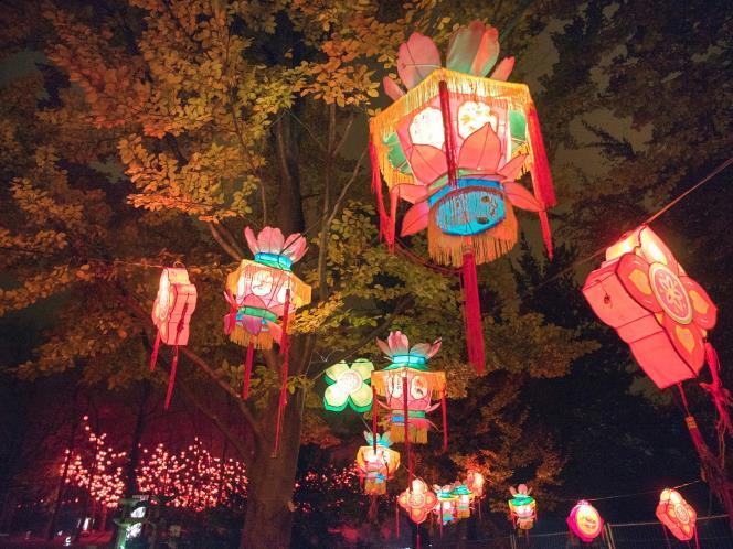 Indahnya Festival Cahaya di Lyon