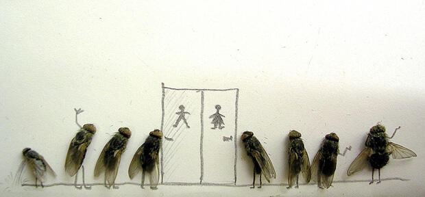 Fly Art Seni Laler Is Dead :D