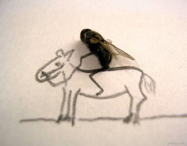 Fly Art Seni Laler Is Dead :D