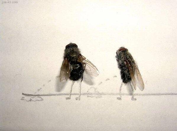 Fly Art Seni Laler Is Dead :D