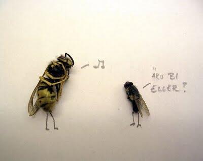 Fly Art Seni Laler Is Dead :D