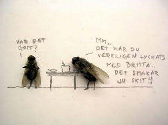 Fly Art Seni Laler Is Dead :D