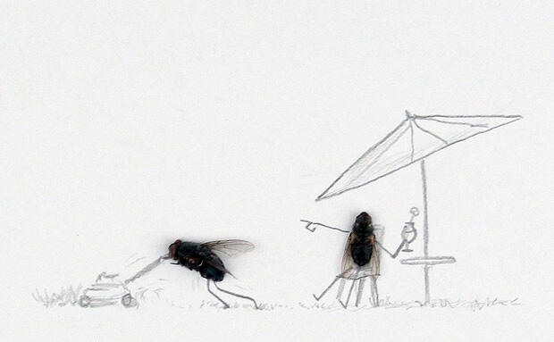Fly Art Seni Laler Is Dead :D