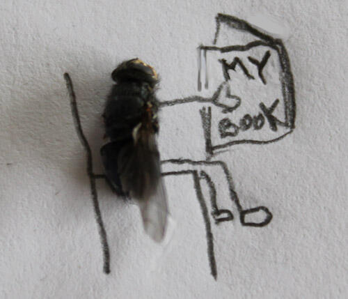 Fly Art Seni Laler Is Dead :D