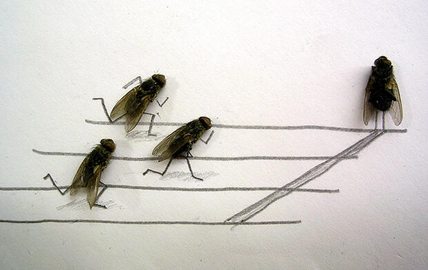 Fly Art Seni Laler Is Dead :D