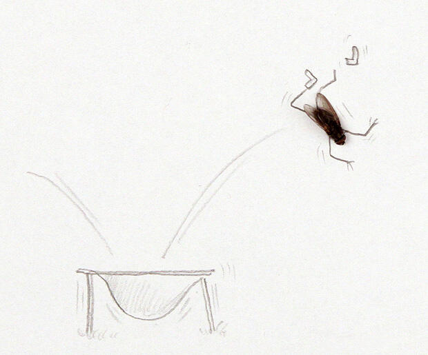Fly Art Seni Laler Is Dead :D