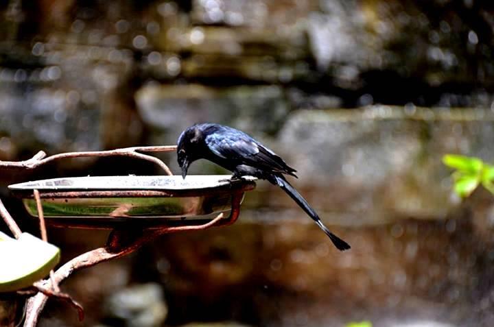 FOTO DI ZOO YOGYAKARTA GAN