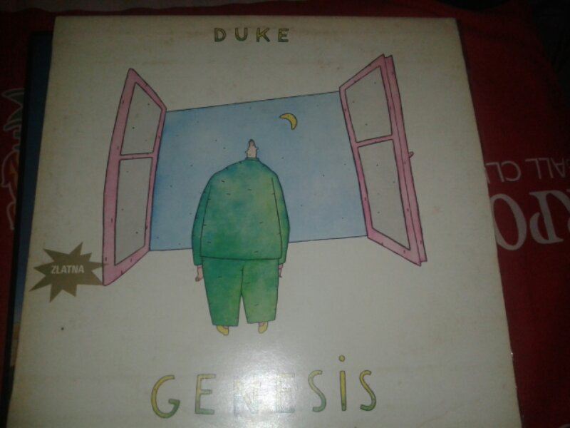VINYL PH MACEM2 BANYAAK..