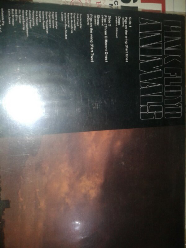VINYL PH MACEM2 BANYAAK..