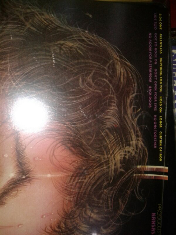 VINYL PH MACEM2 BANYAAK..