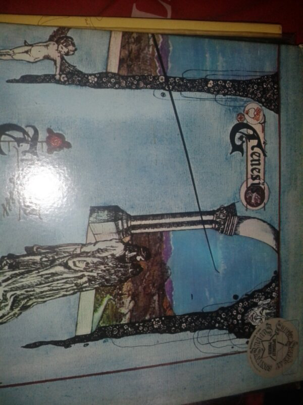 VINYL PH MACEM2 BANYAAK..